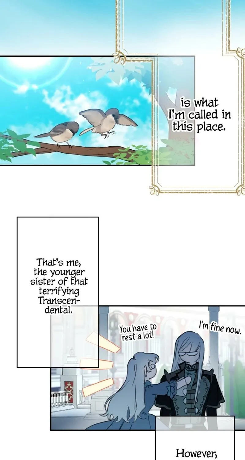 The World
