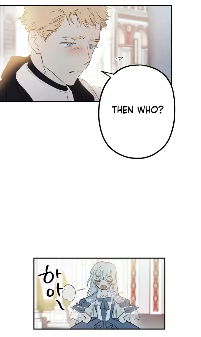 The World