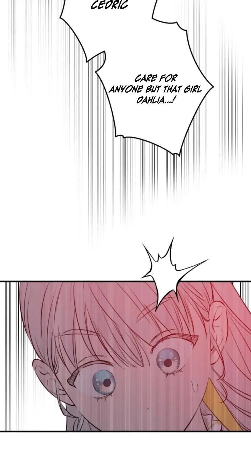 The World