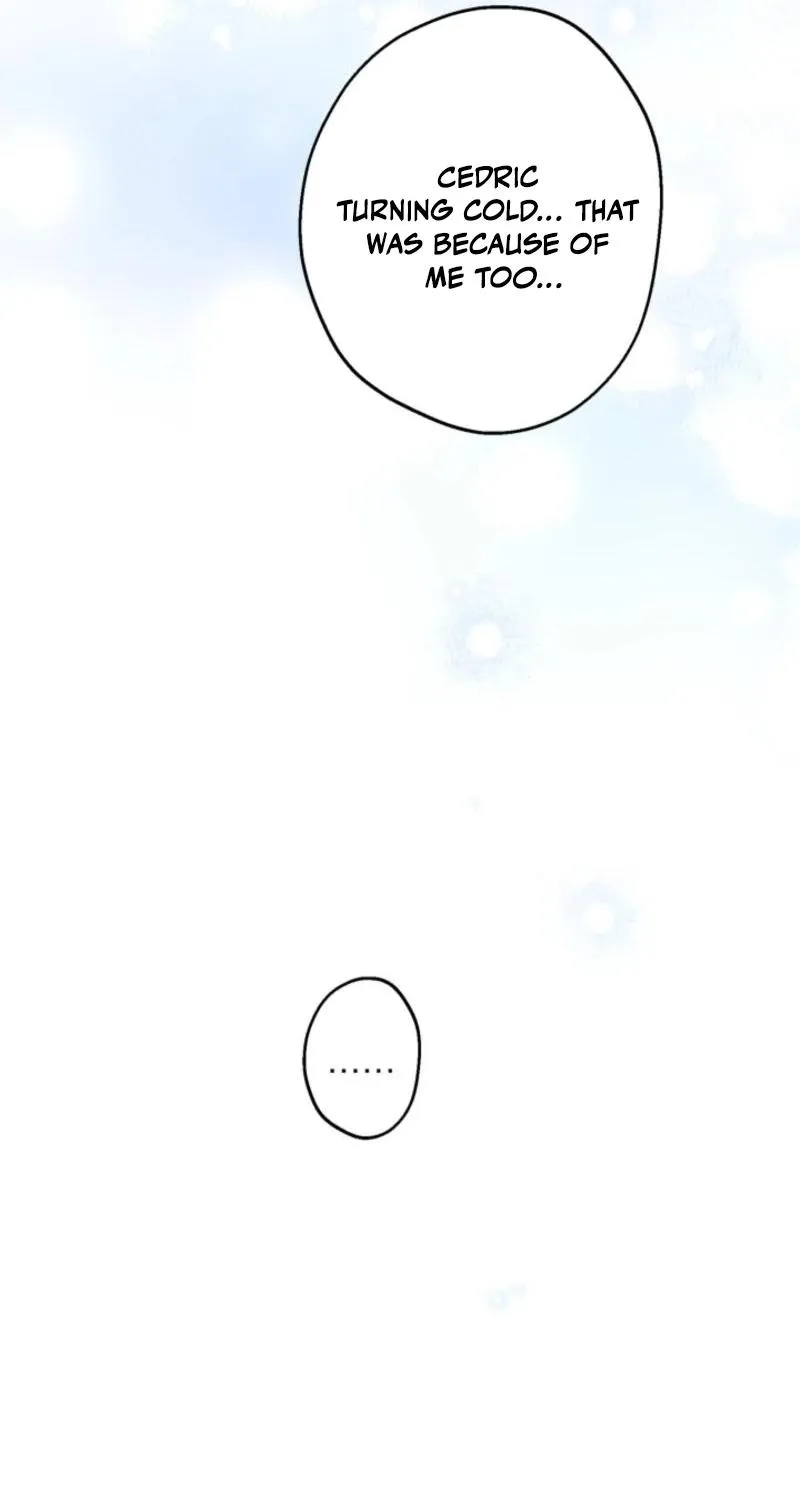 The World