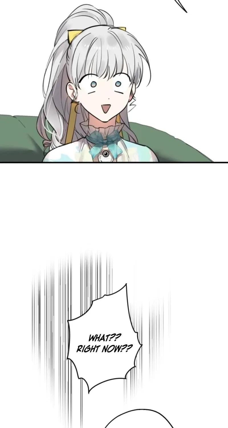 The World