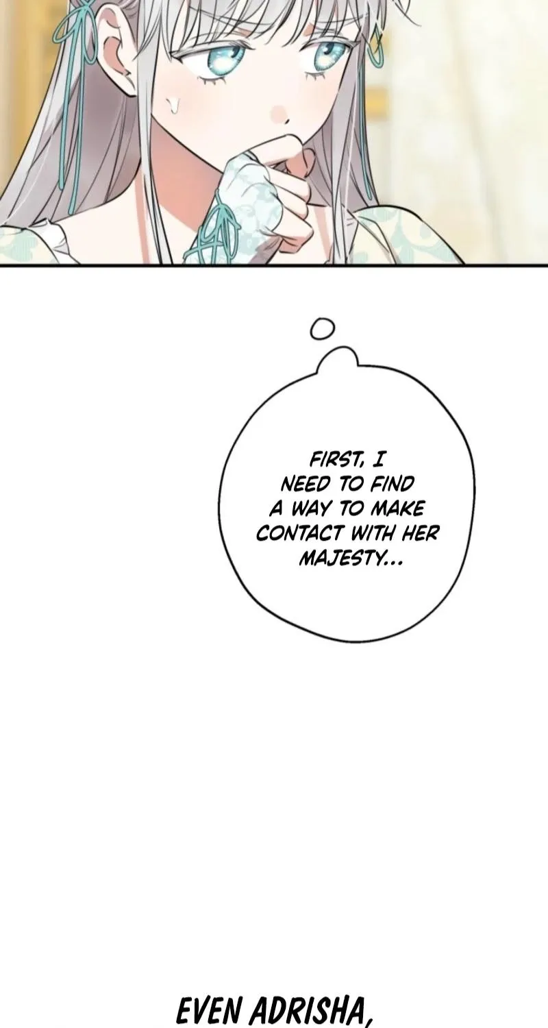 The World