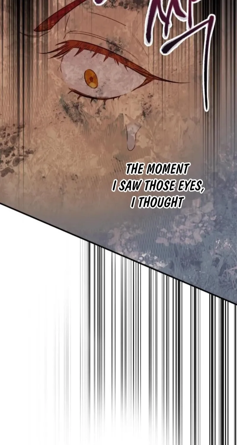 The World