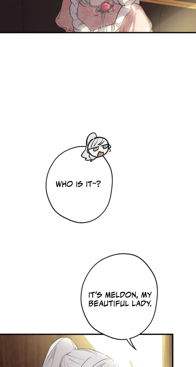 The World