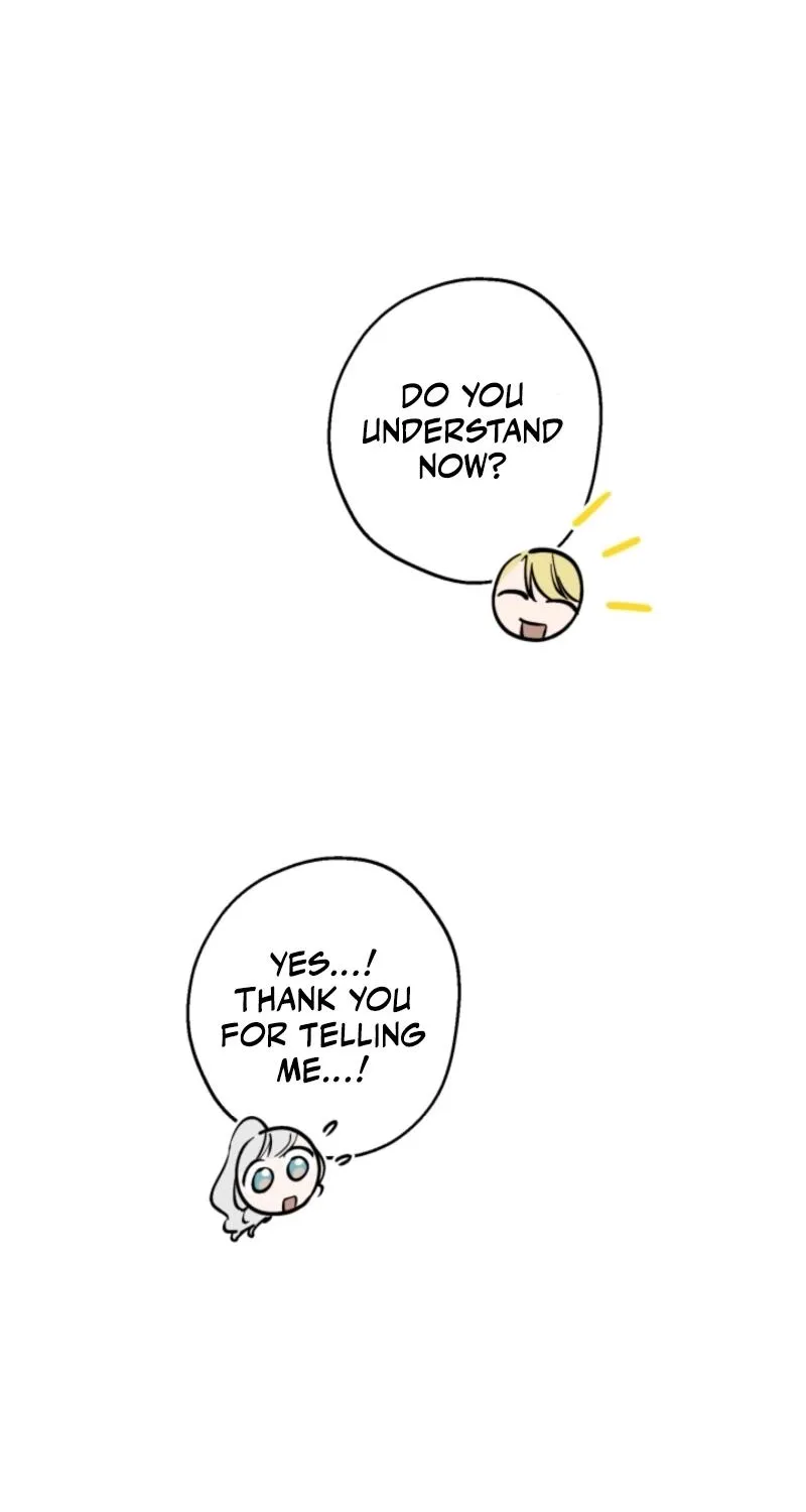 The World