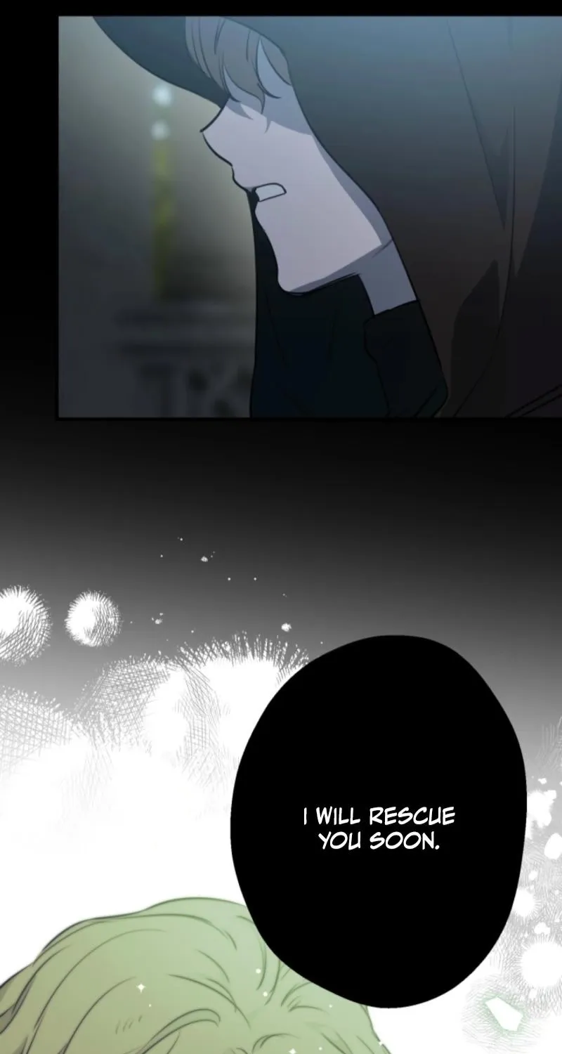 The World