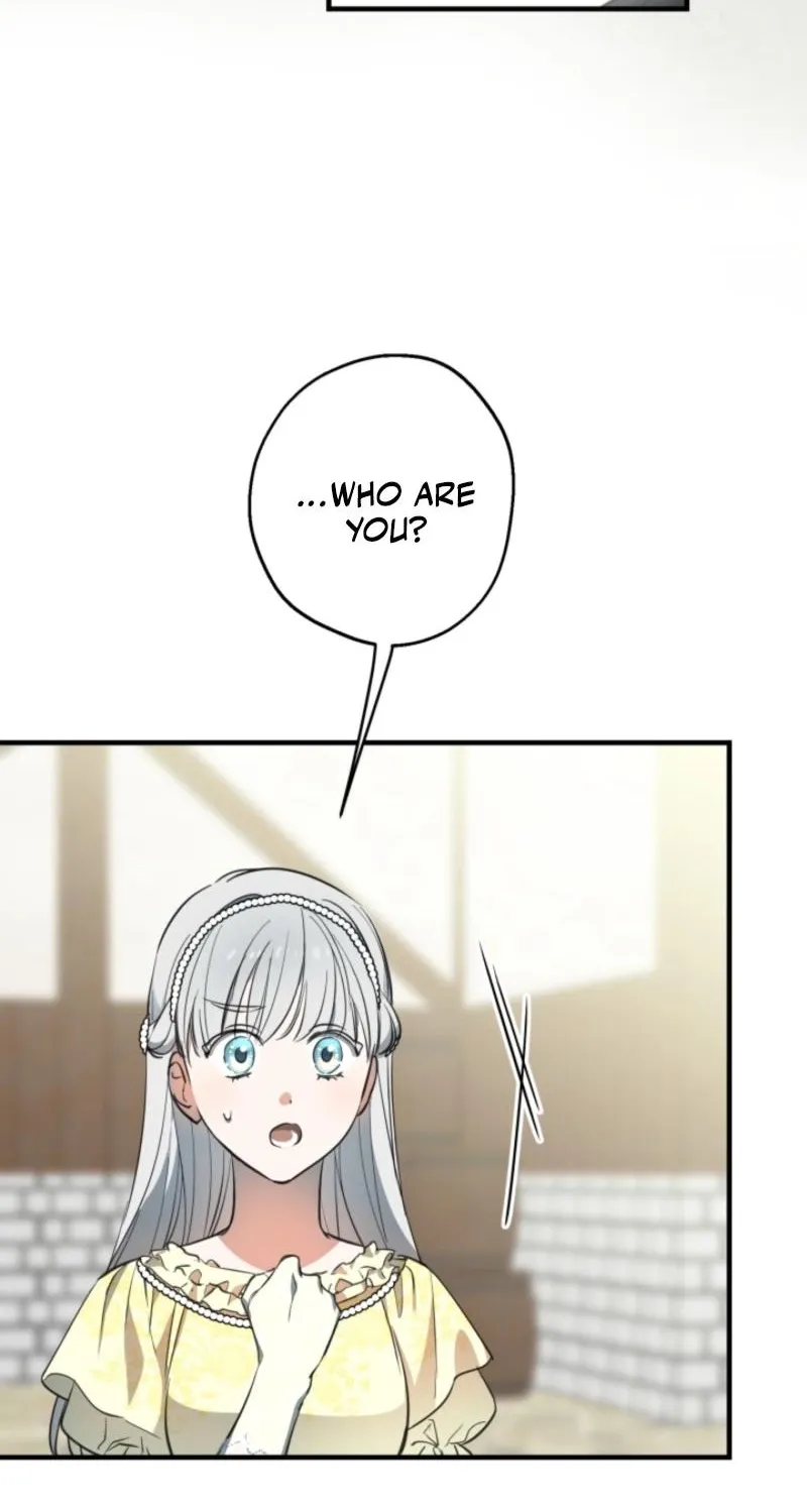 The World