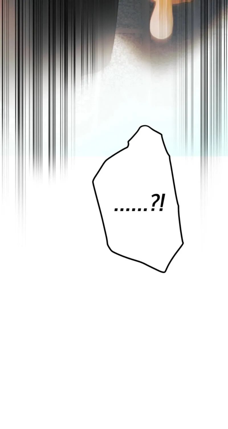 The World