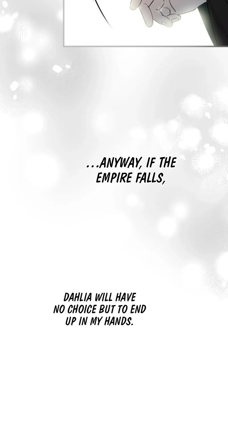 The World