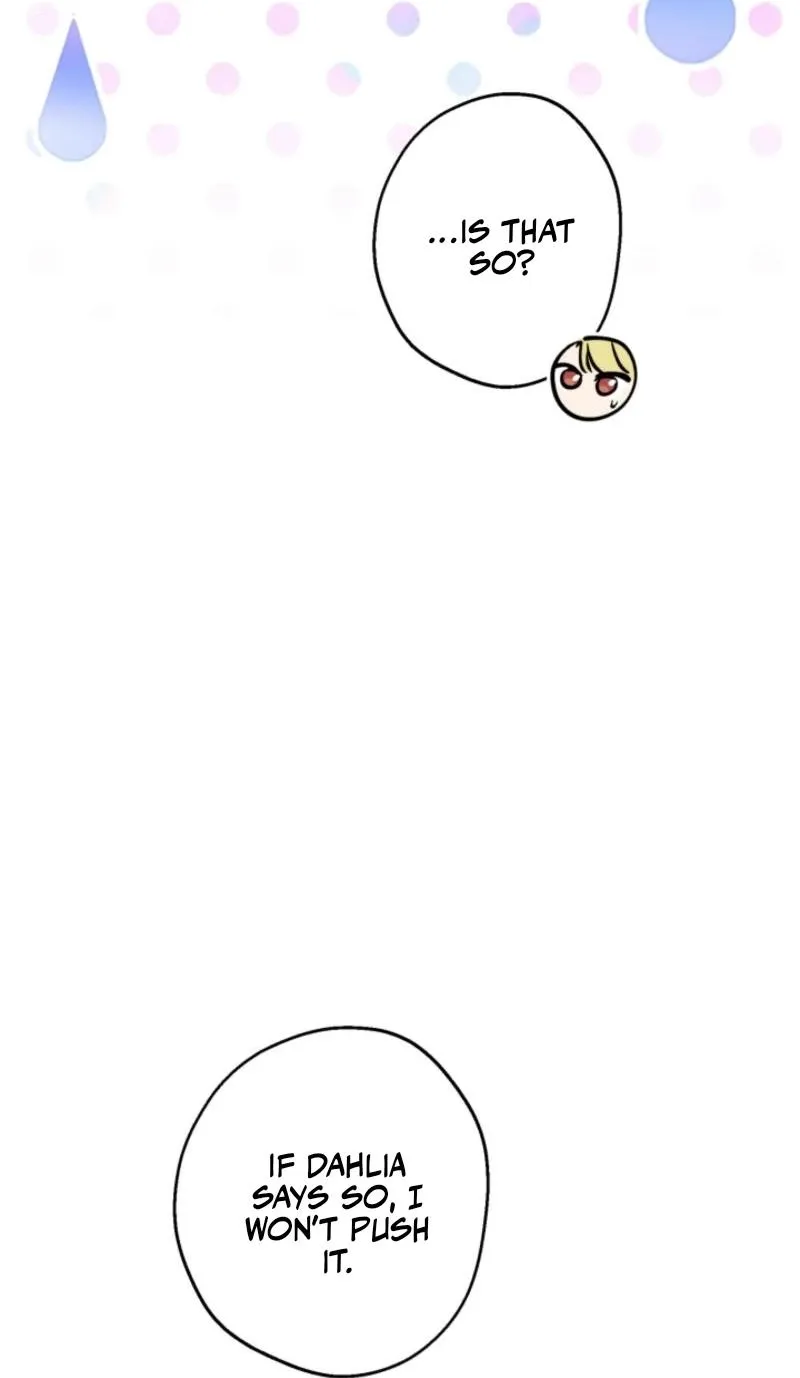 The World