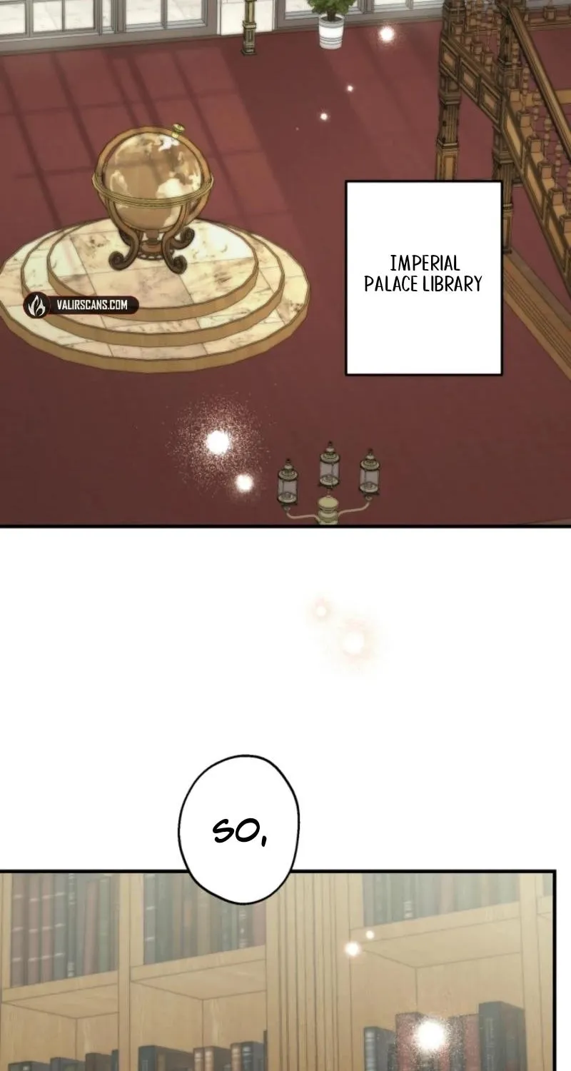 The World