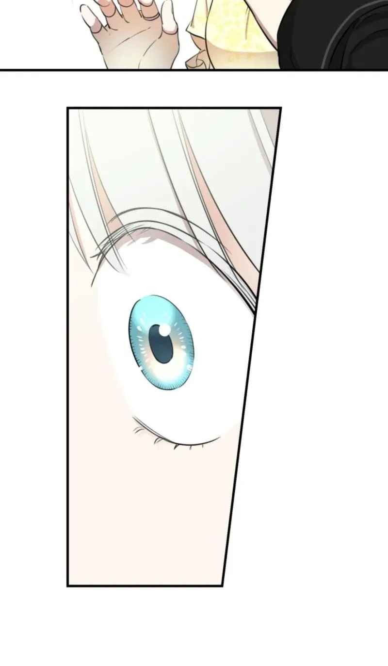 The World