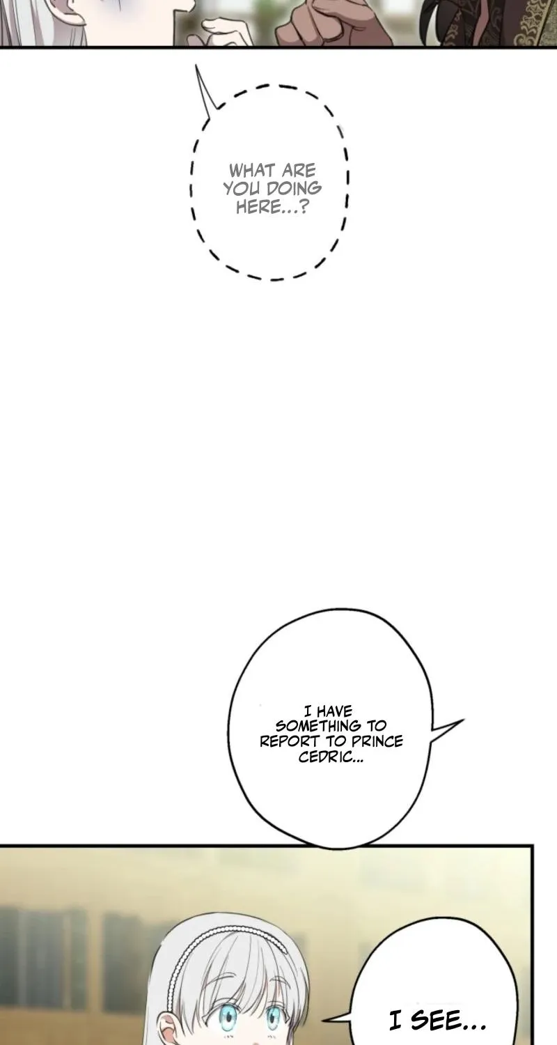 The World