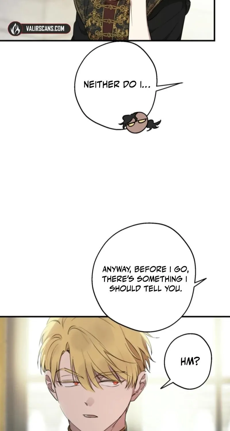 The World