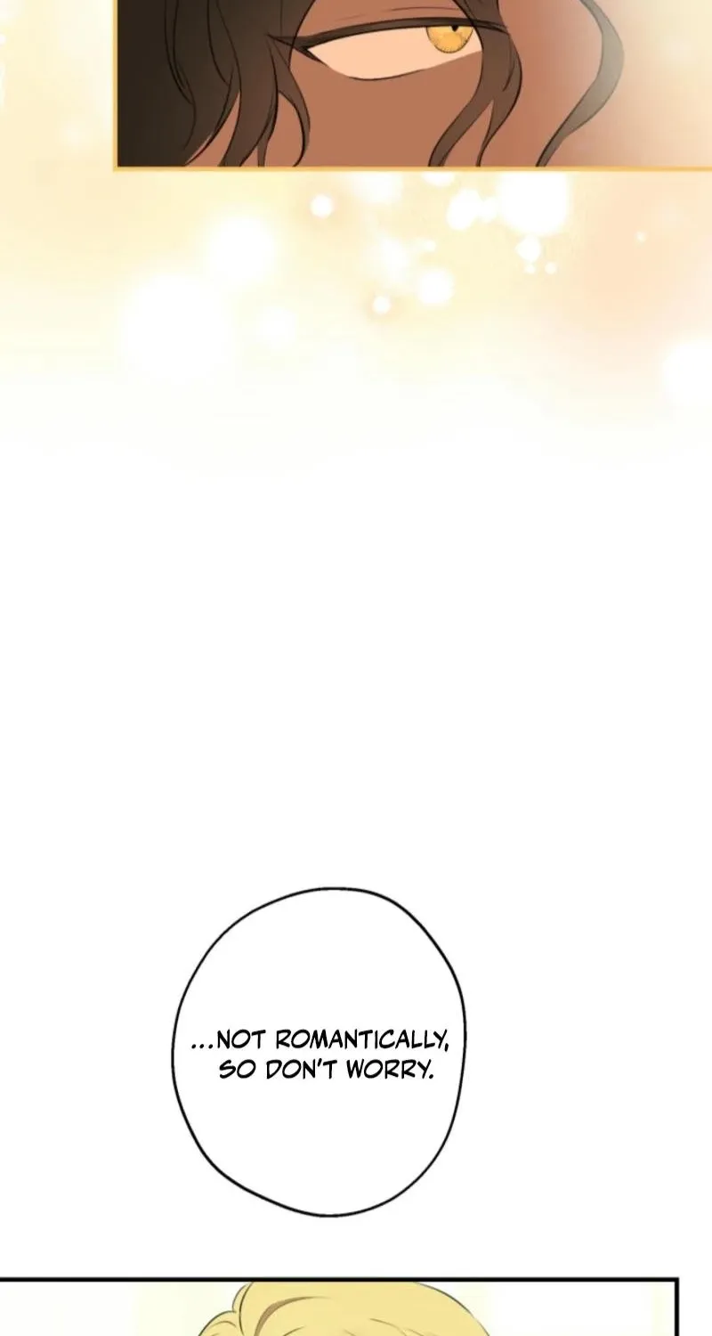 The World