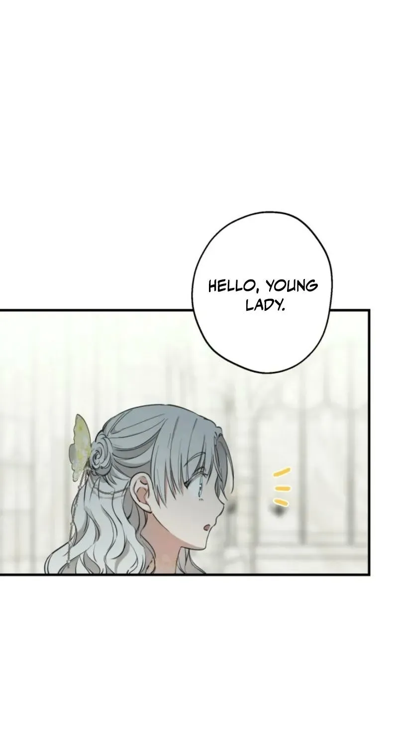 The World