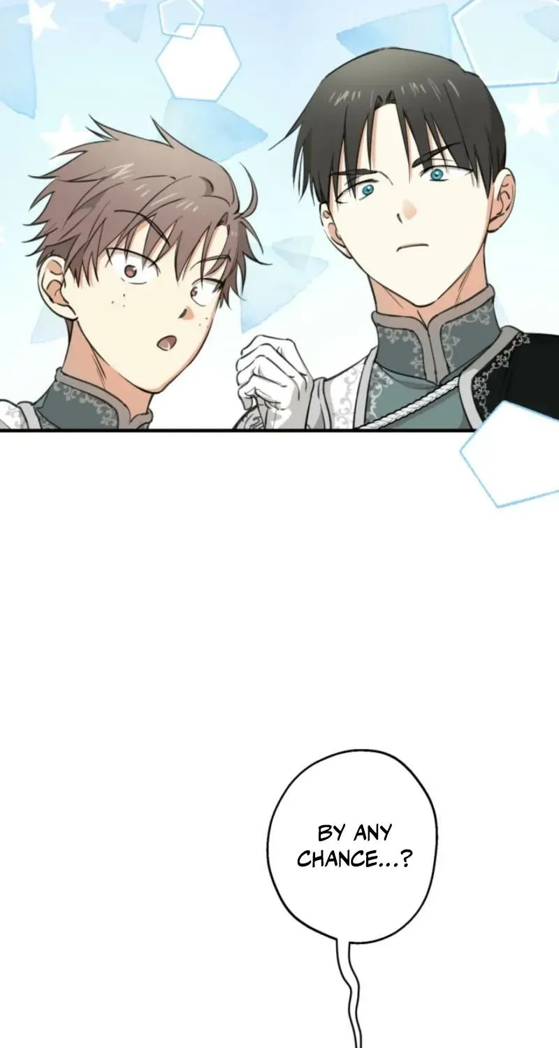 The World