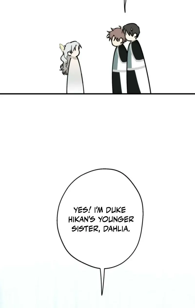 The World