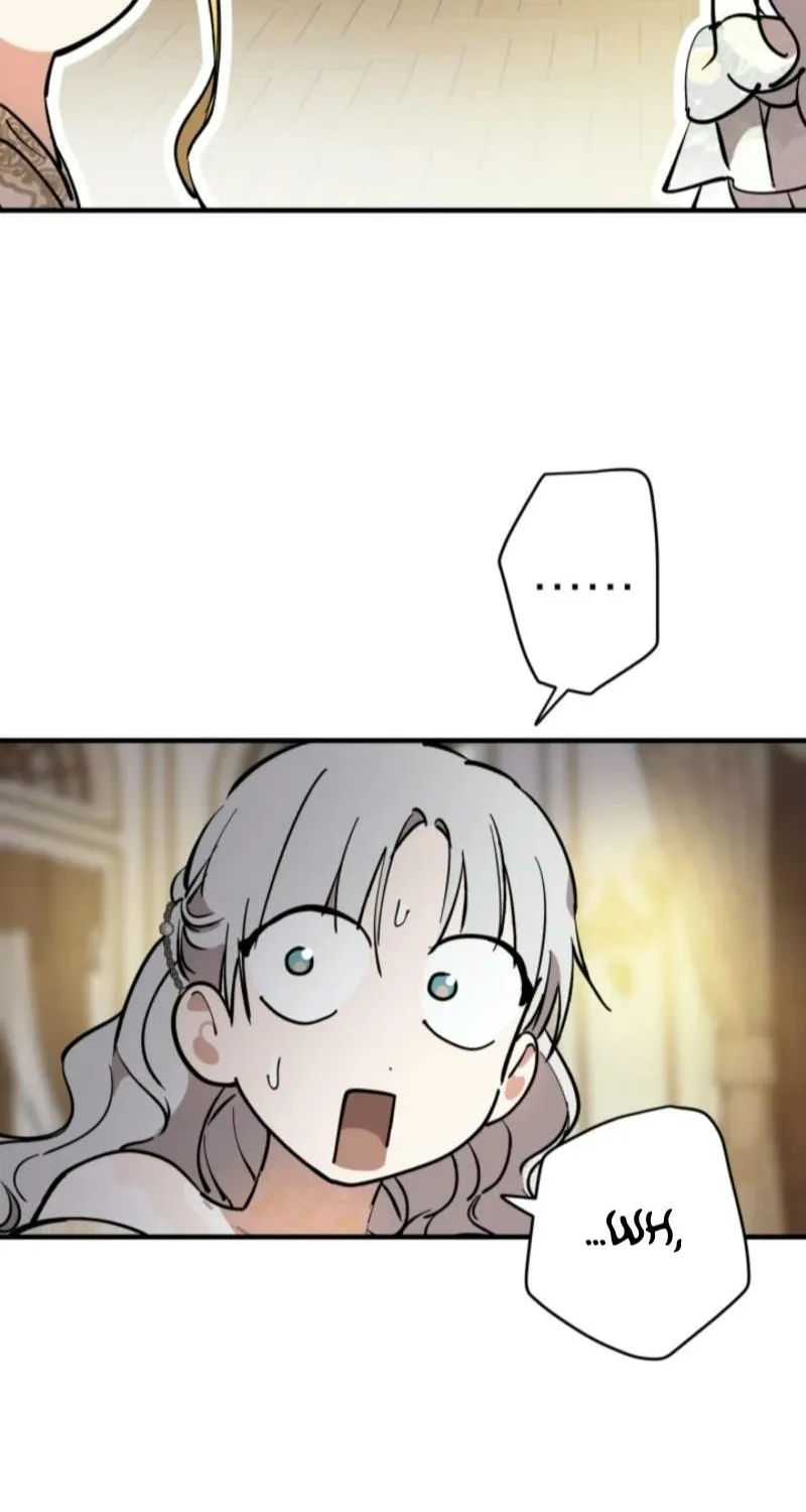 The World