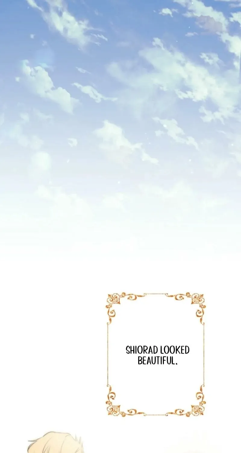 The World