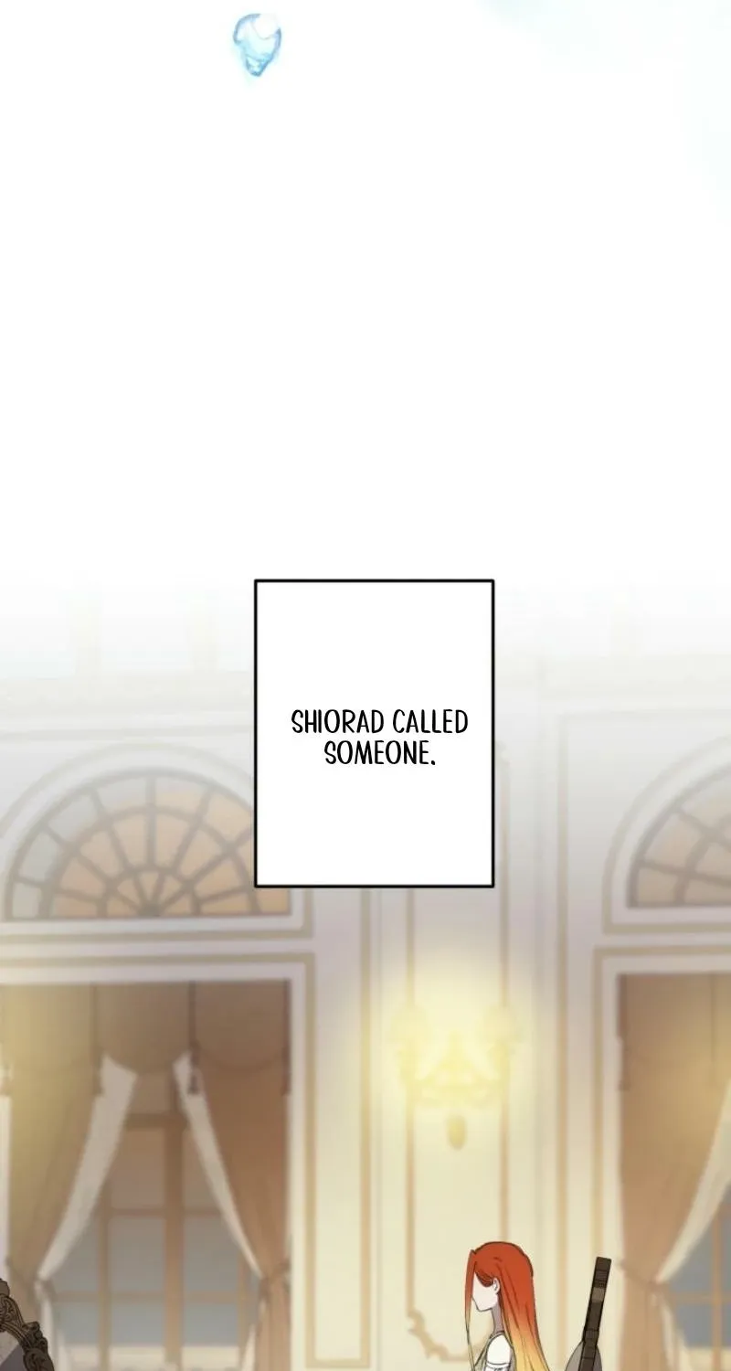 The World