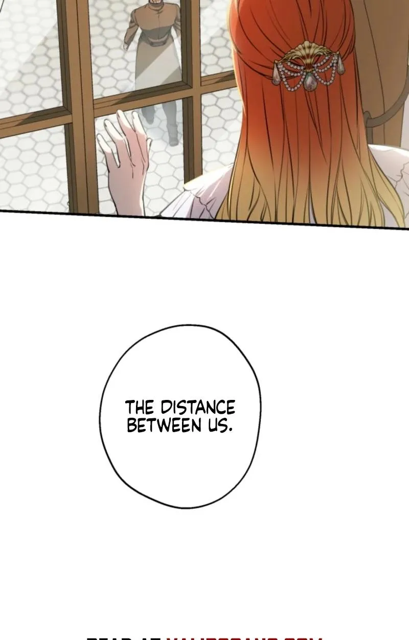 The World
