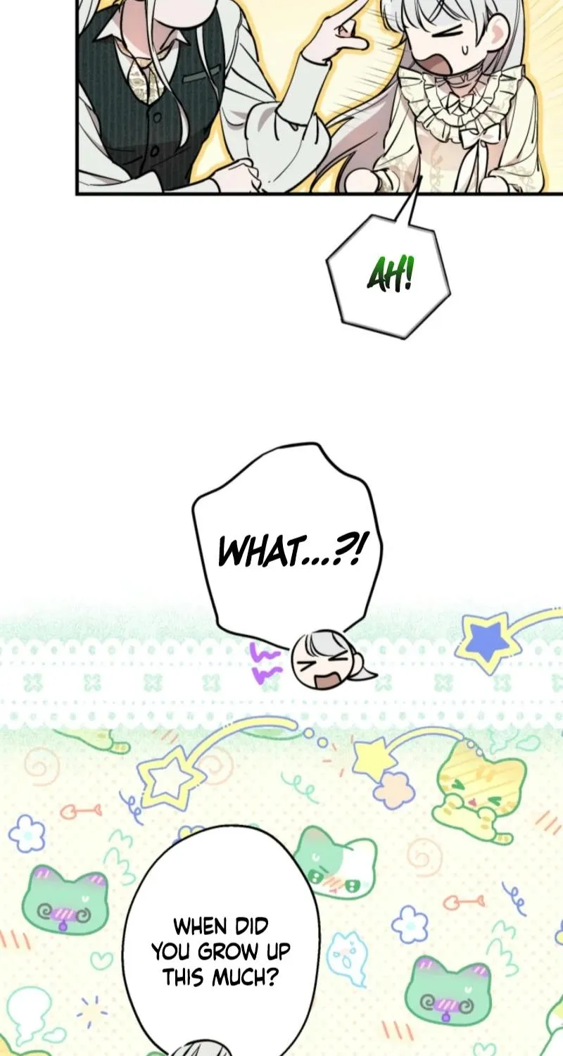 The World