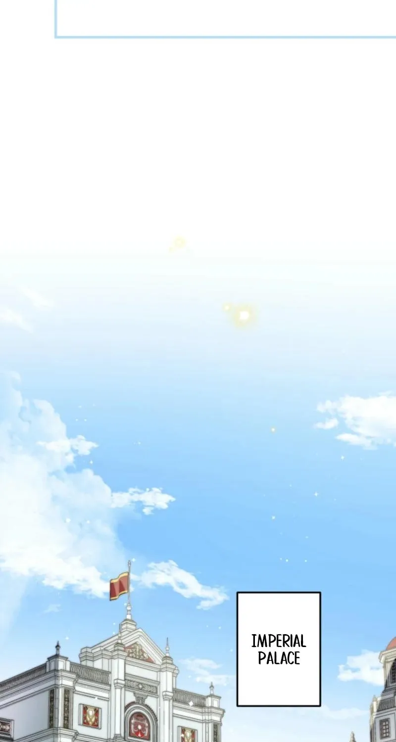 The World