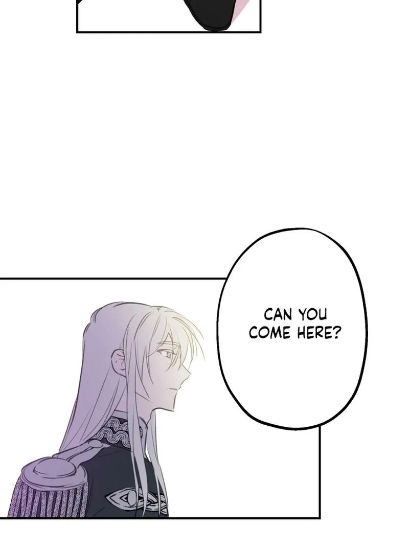 The World