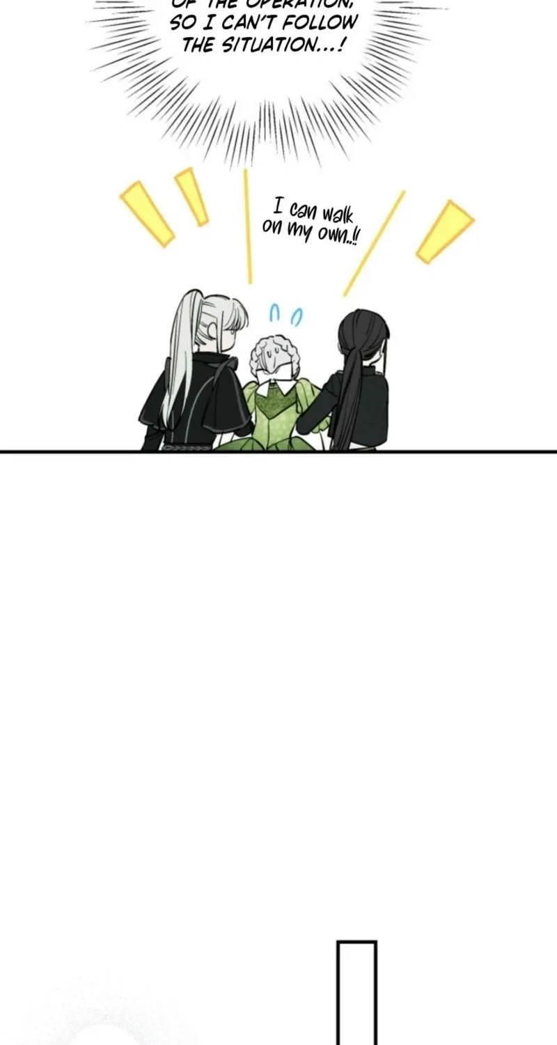 The World