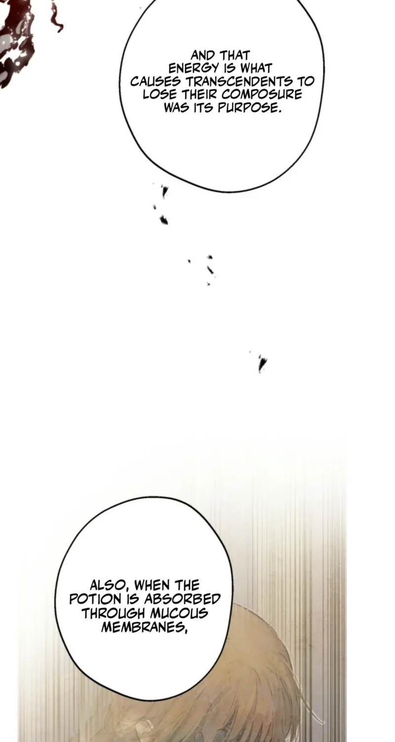 The World