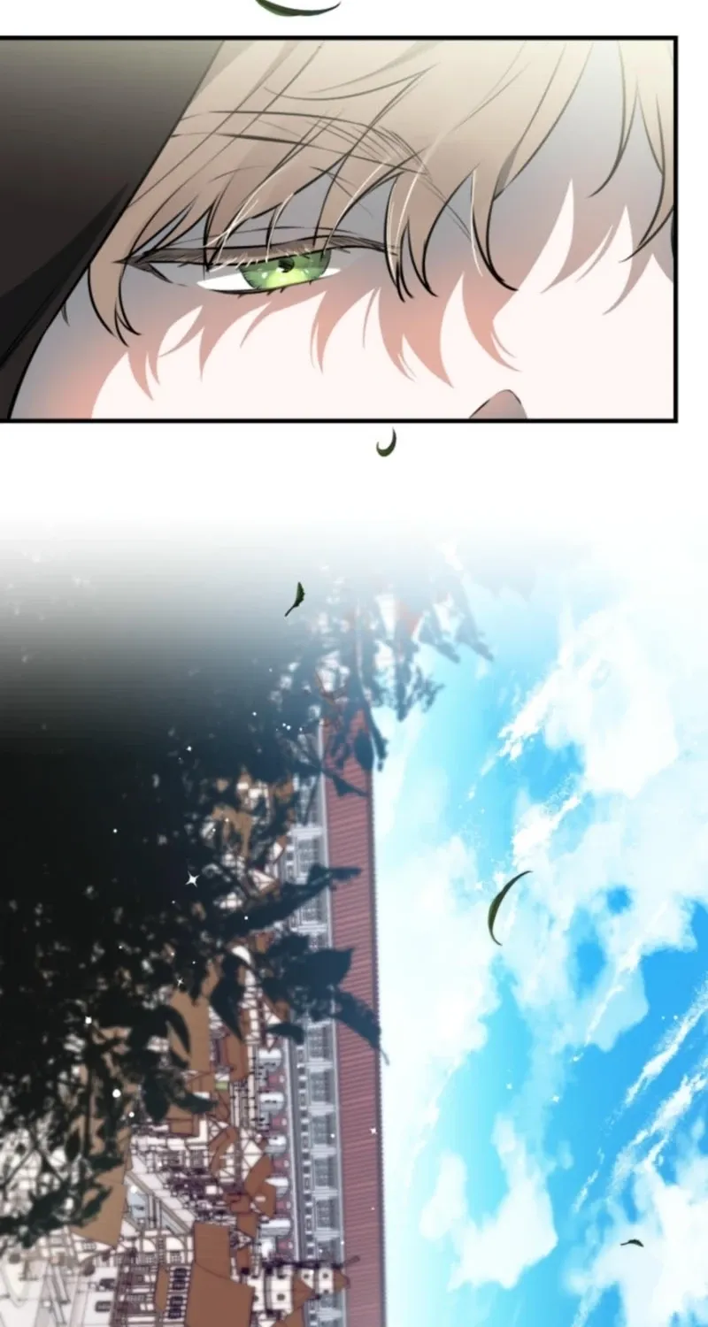 The World