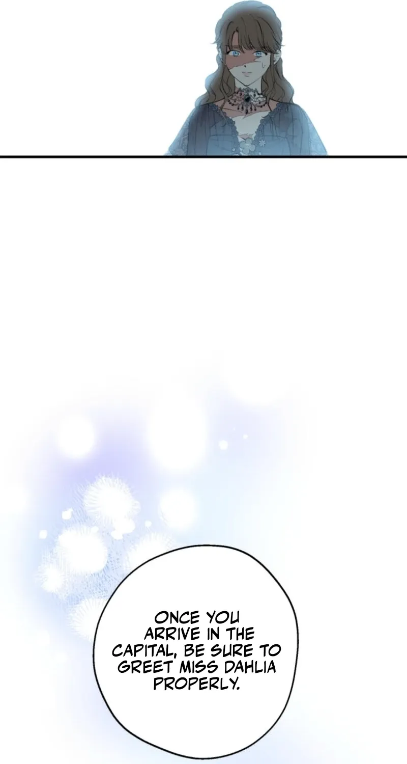 The World