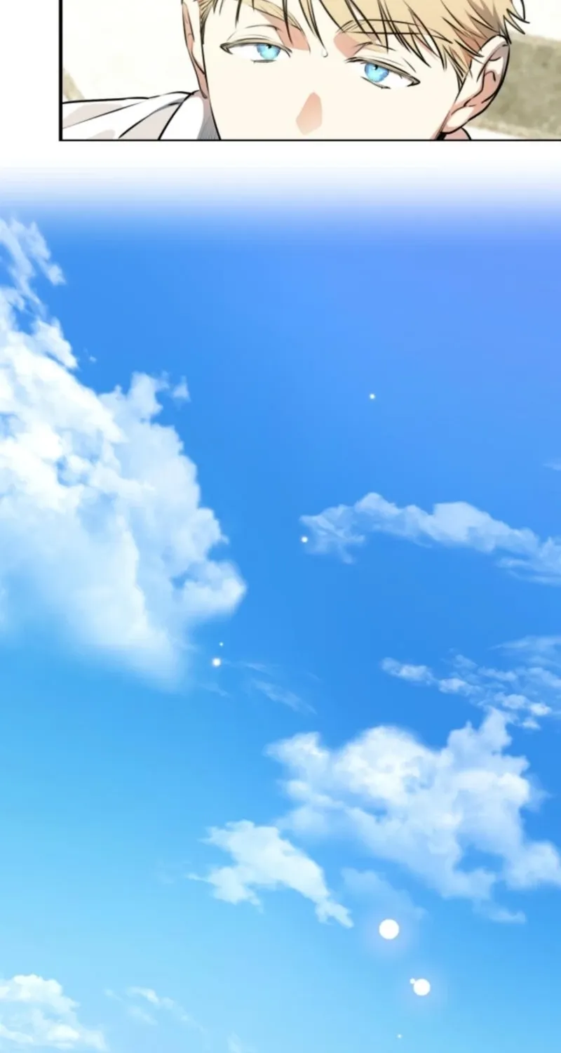 The World