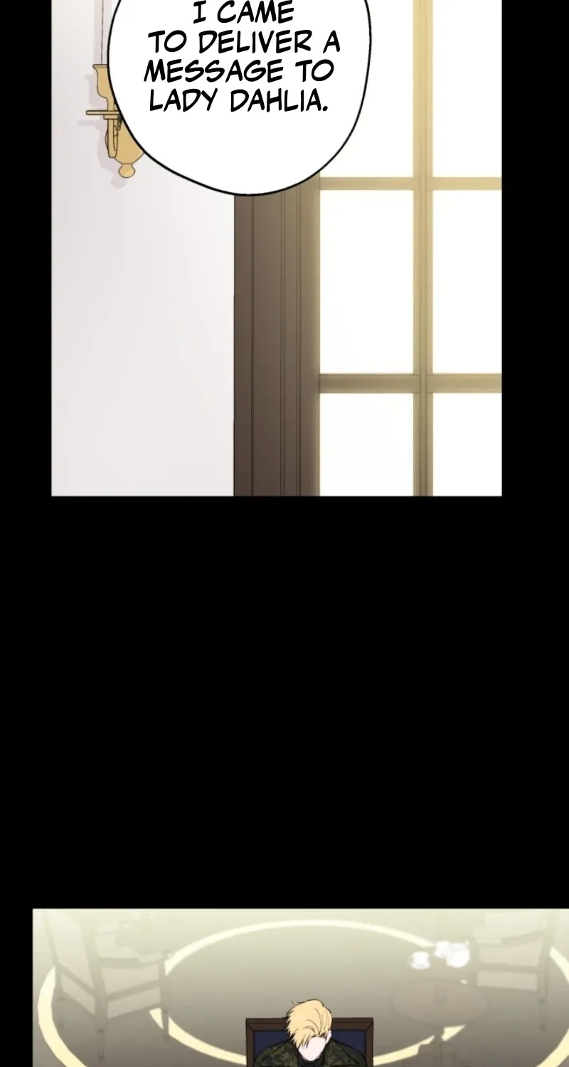 The World