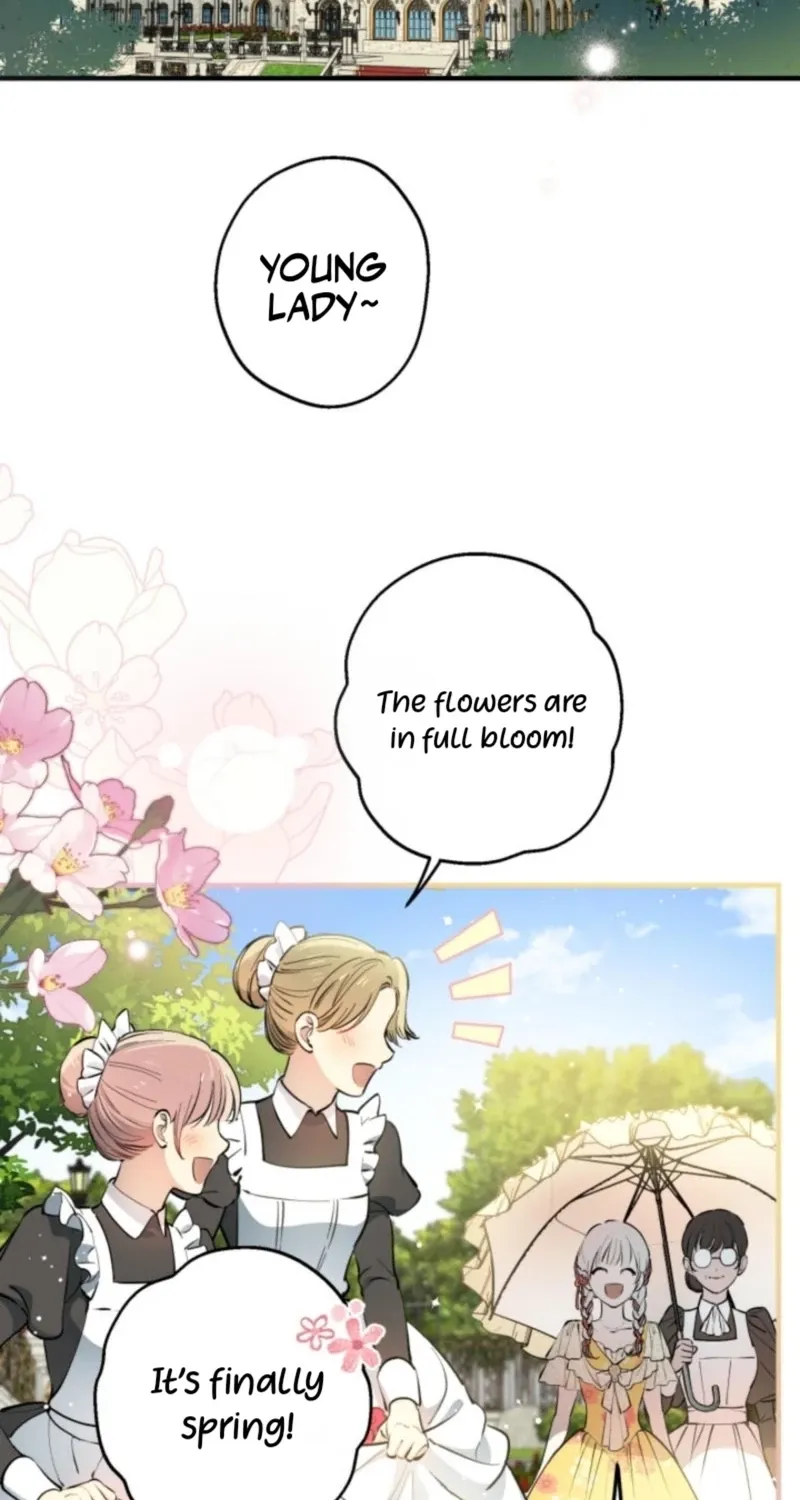 The World