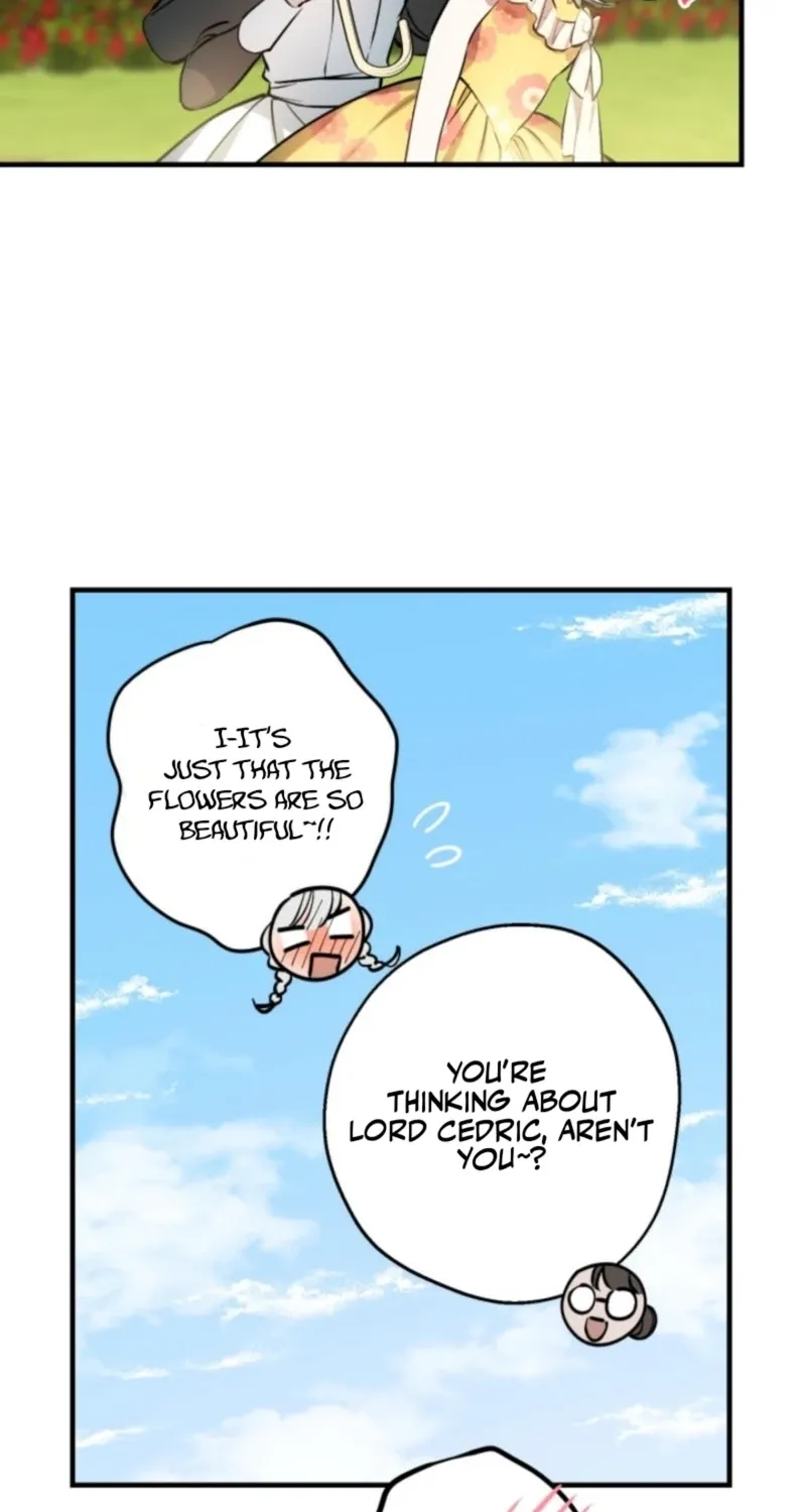 The World