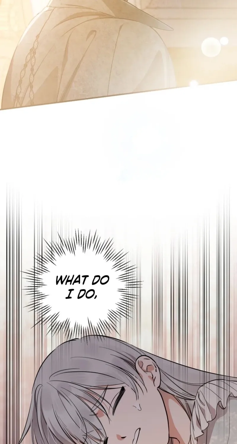 The World
