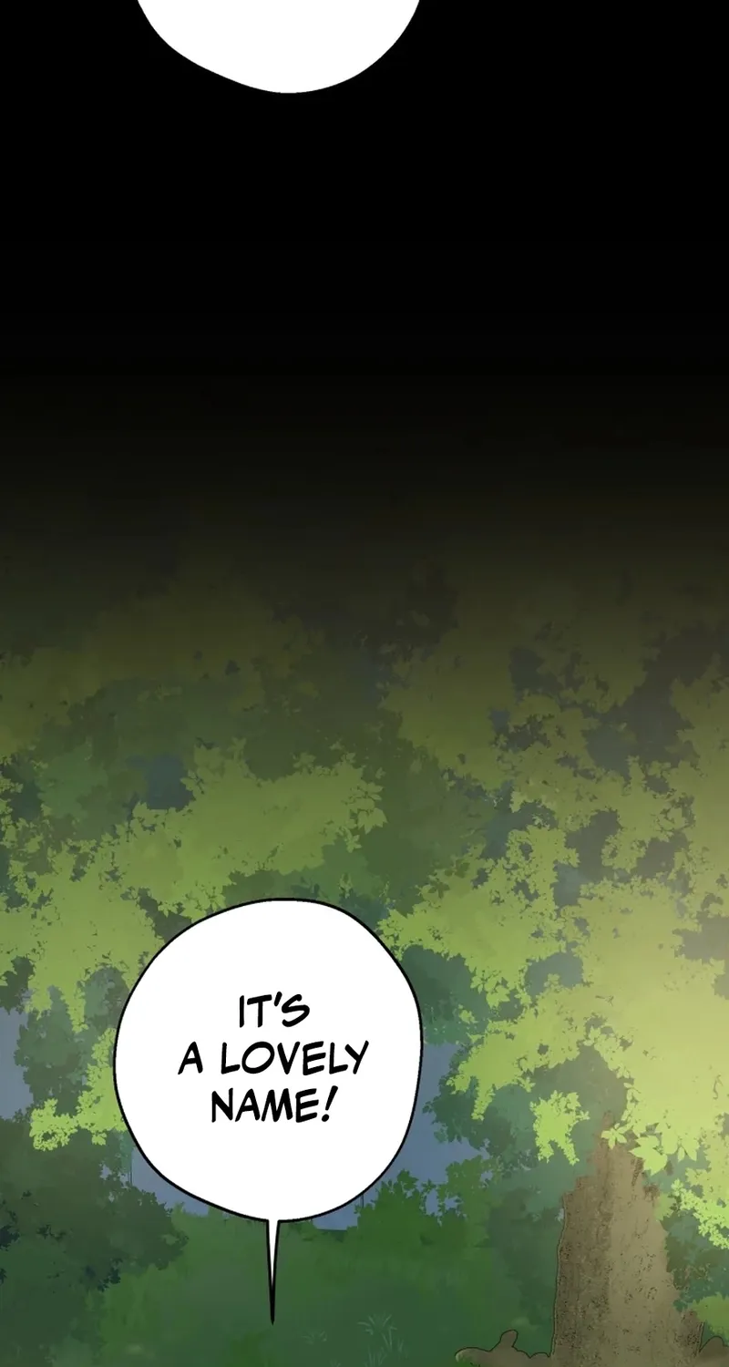 The World