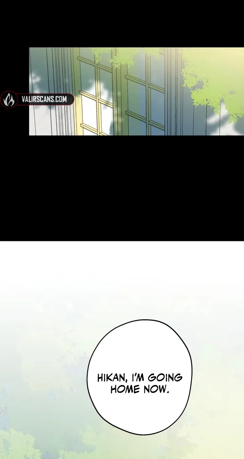 The World