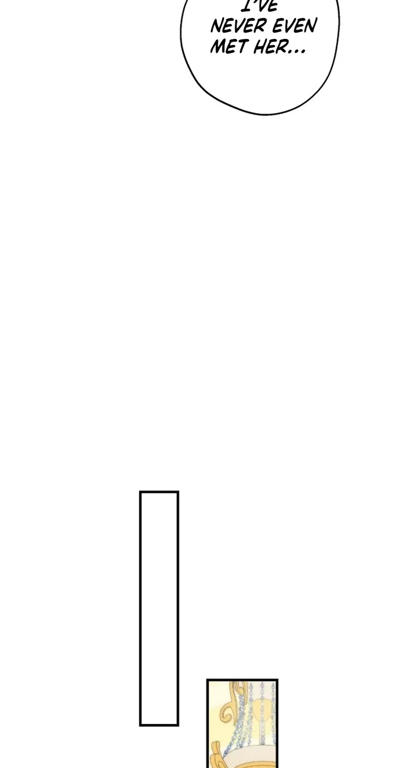 The World