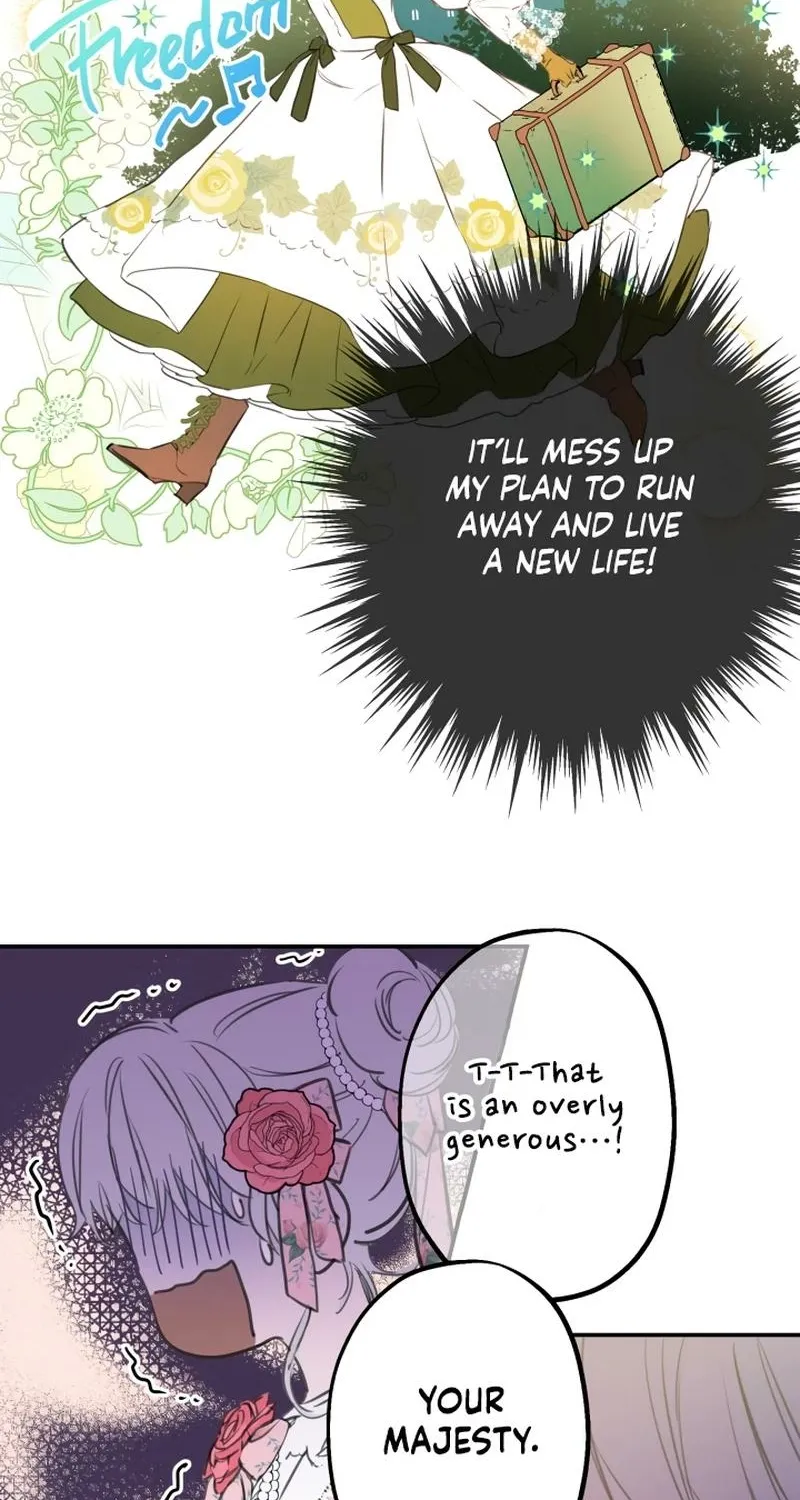 The World
