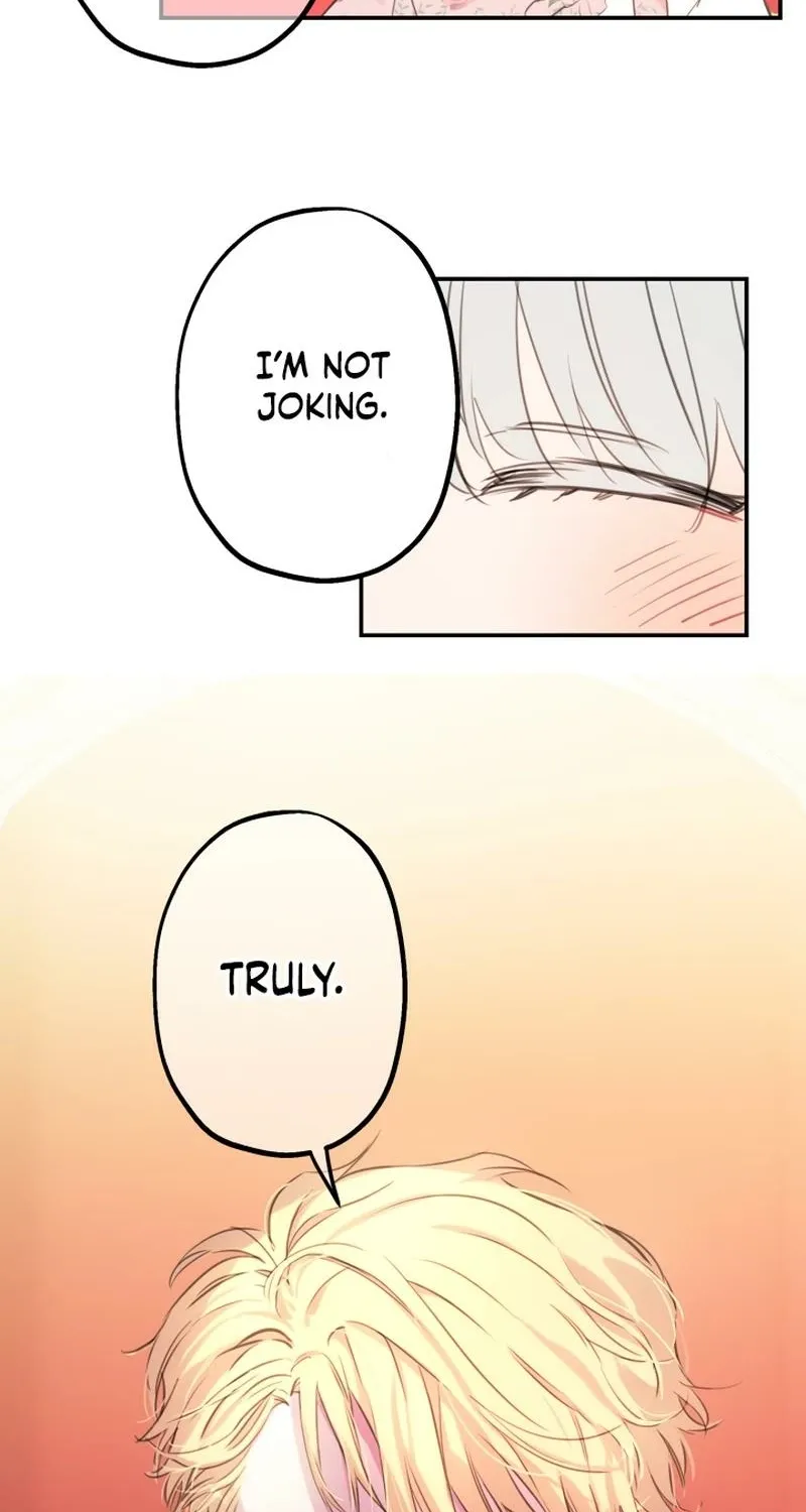 The World