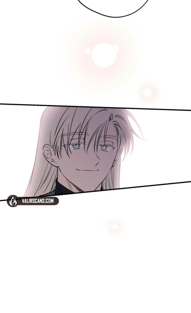 The World