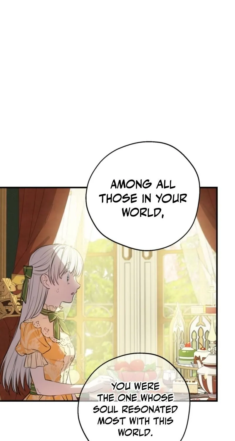 The World