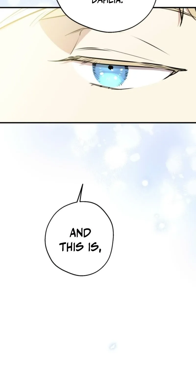 The World