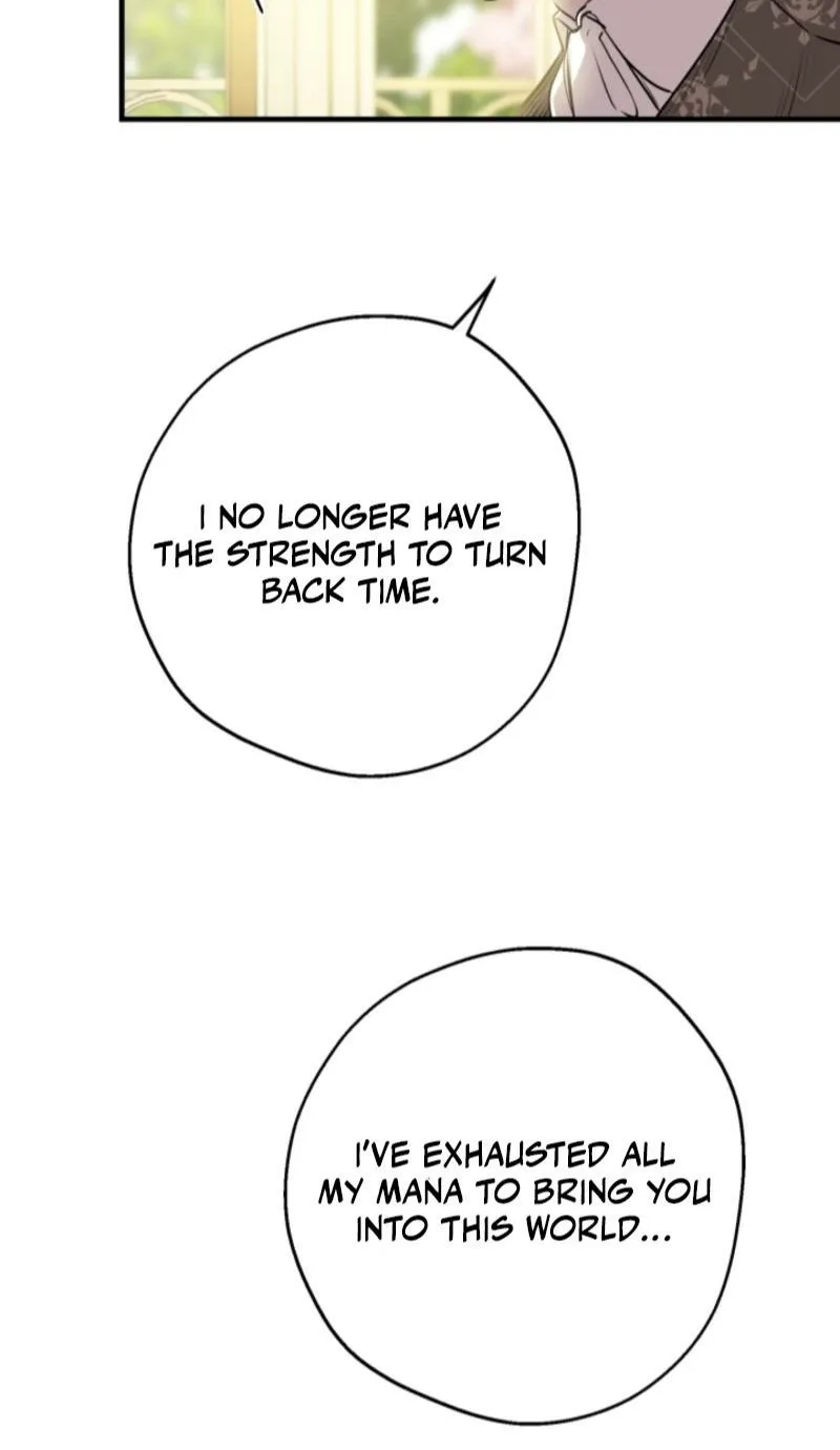 The World