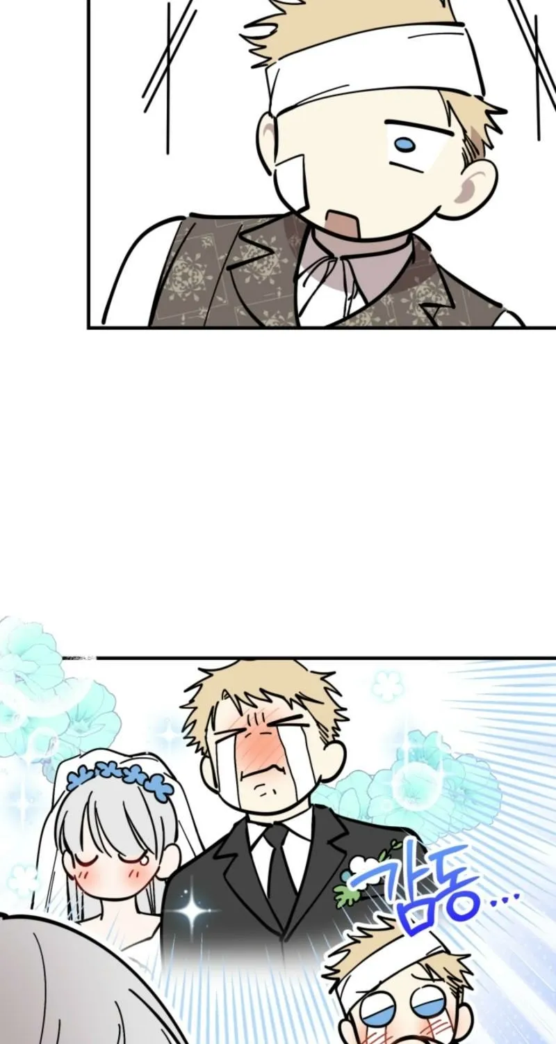 The World