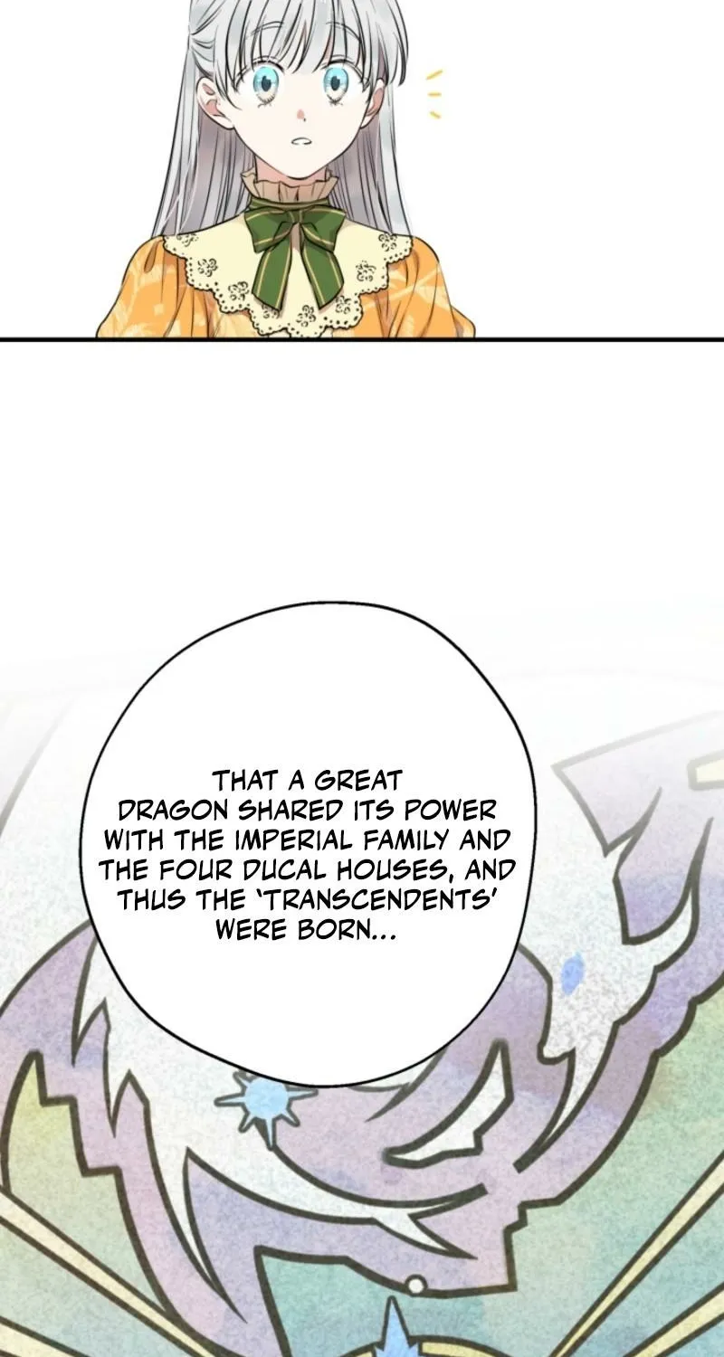 The World