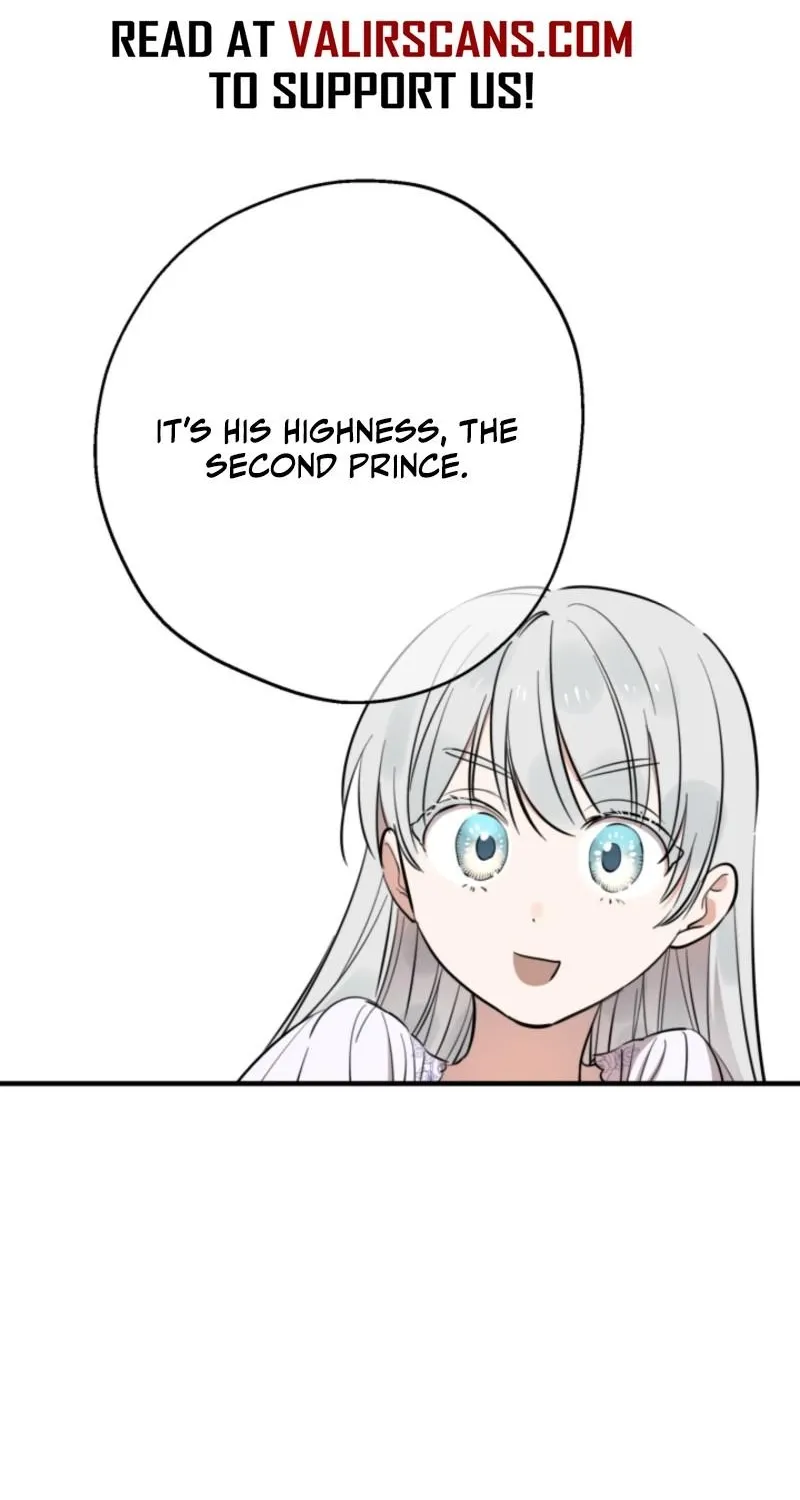 The World